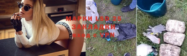 ПСИЛОЦИБИНОВЫЕ ГРИБЫ Богданович